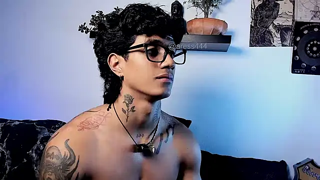 aress_damon webcam show