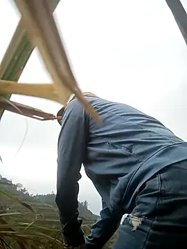 Show Webcam de nangmo