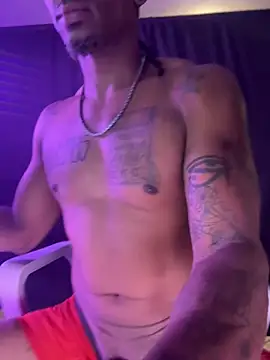 Show webcam de TheRealMrDLlong