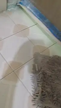 Oscarinylupis2328 웹캠 쇼