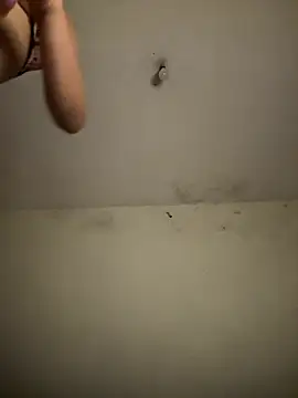 عرض كام arabayla