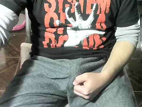 Show de OreCam na webcam