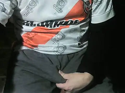 Show webcam de OreCam