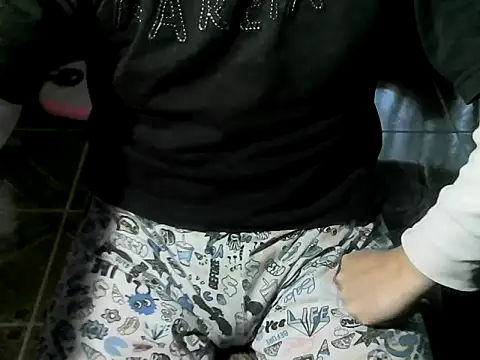 Show webcam de OreCam