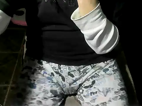 Show webcam de OreCam