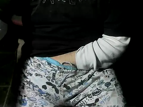 Show Webcam de OreCam