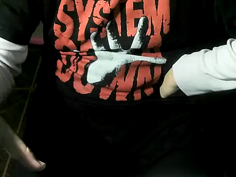 OreCam Webcam-Show