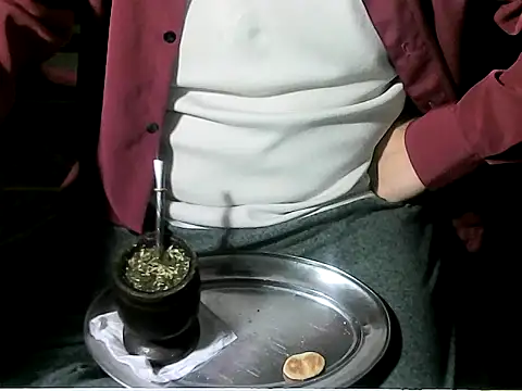 OreCamのウェブカメラショー