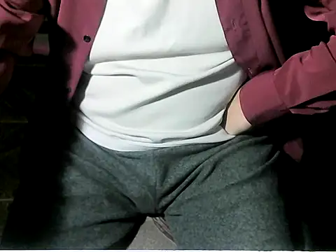 Show Webcam de OreCam