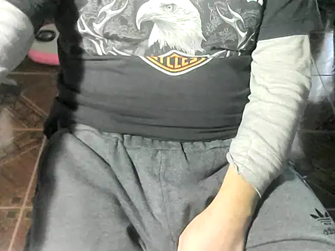 Show webcam de OreCam