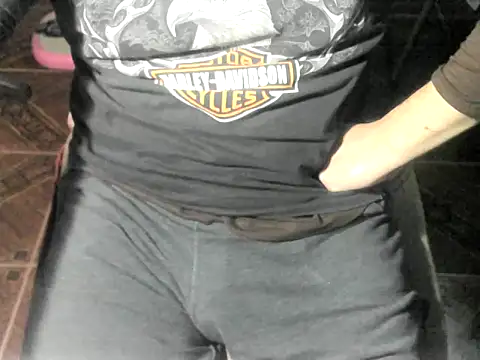 Show de OreCam na webcam