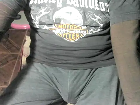 Show de webcam de OreCam