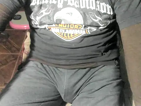 Show de webcam de OreCam