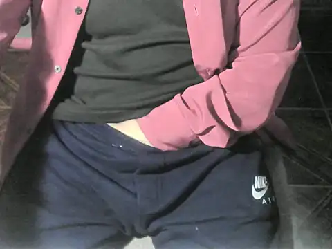 Show webcam de OreCam