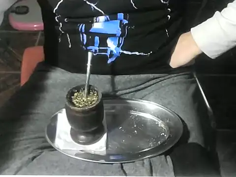 OreCamのウェブカメラショー