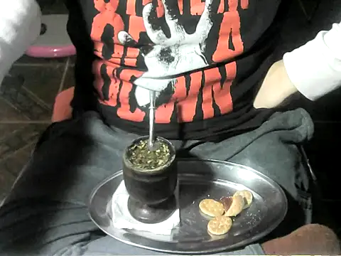 Show de webcam de OreCam