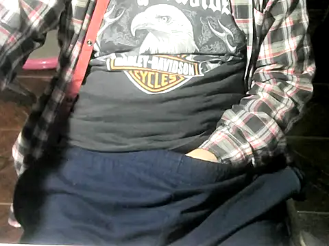 Show webcam de OreCam