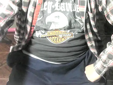 Show Webcam de OreCam