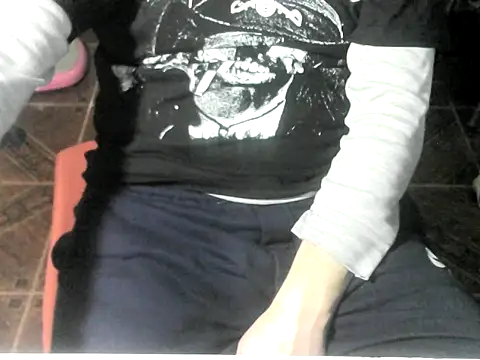 Show de webcam de OreCam