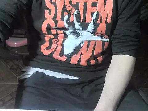Show webcam de OreCam