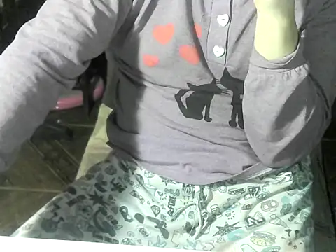 Show Webcam de OreCam