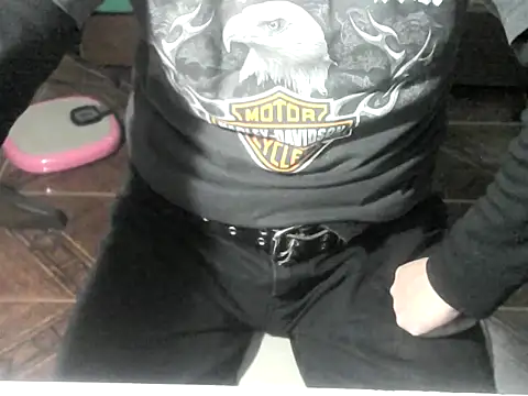 OreCam Webcam-Show