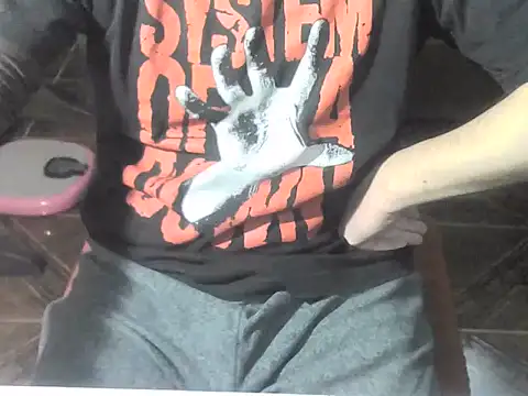 Show Webcam de OreCam