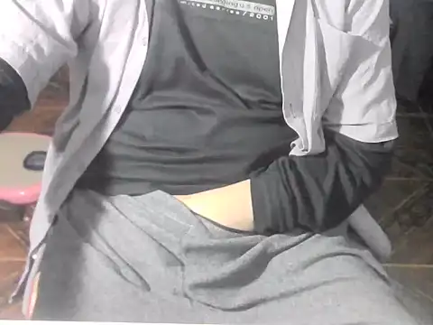 Show webcam de OreCam