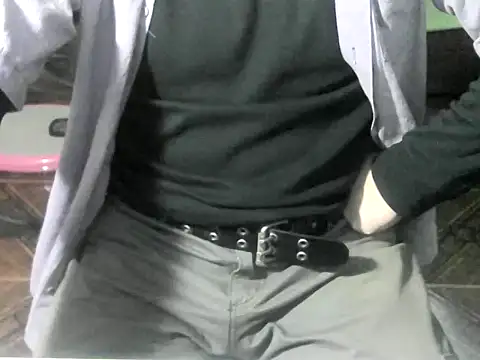 Show de webcam de OreCam