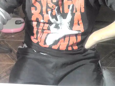 Show webcam de OreCam