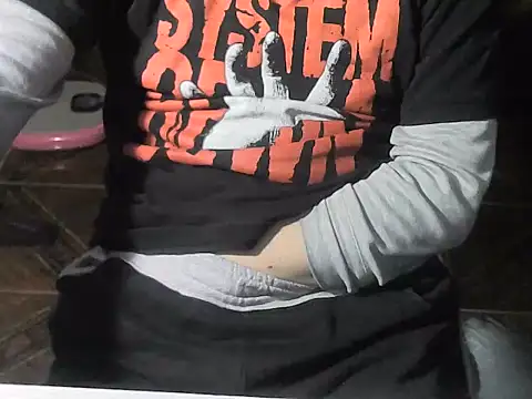 Show de OreCam na webcam