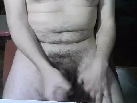 Show de webcam de OreCam