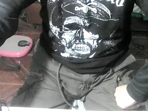 Show webcam de OreCam