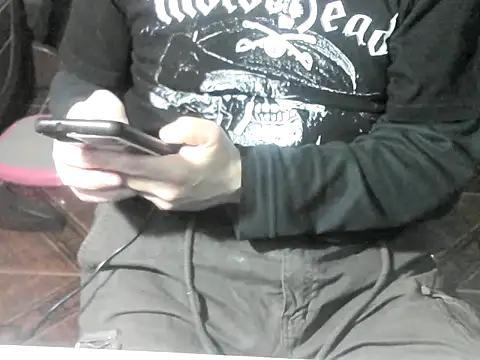 Show webcam de OreCam