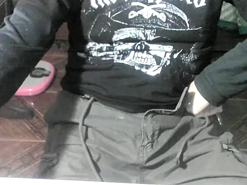 Show de webcam de OreCam