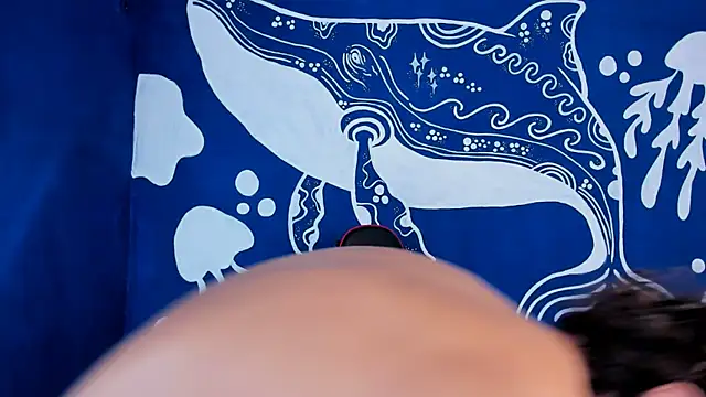 LiamVibes212 웹캠 쇼