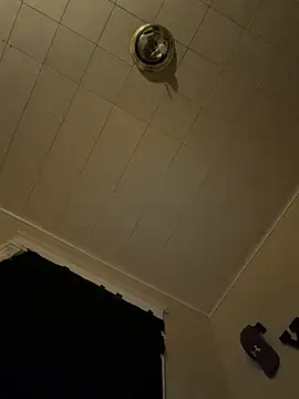 BigDick-A-Money Webcam show
