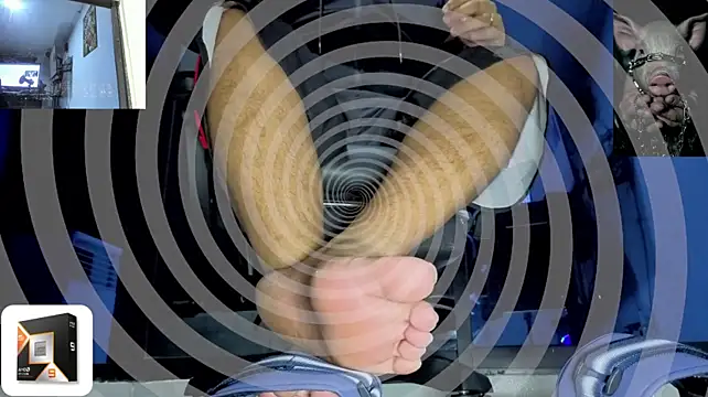 Alphacashmaster777 Pertunjukan Webcam