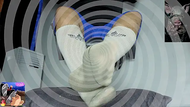 Alphacashmaster777 Pertunjukan Webcam