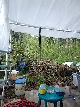 Show de Horny_hippie na webcam