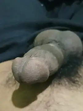 TropicalInsomnia Show Webcam