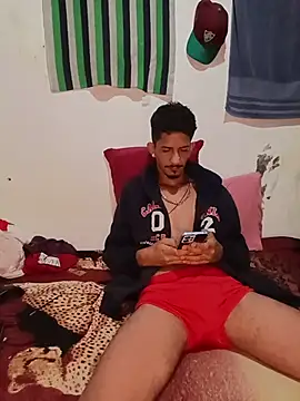 Show webcam de theyllorwillian