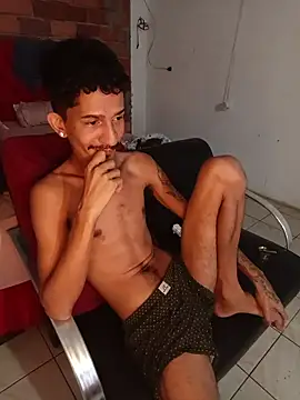 Show de webcam de OCamBoy