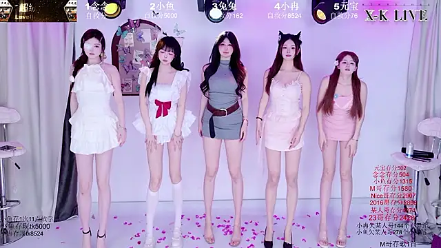 XK-2005 网络视讯表演