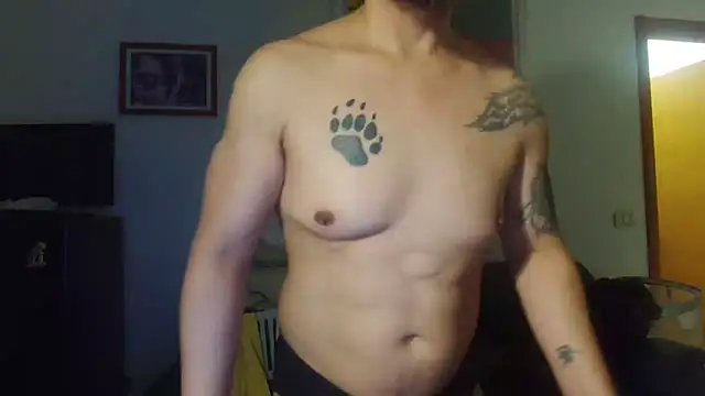 AMIRDIB2025 Webcam show