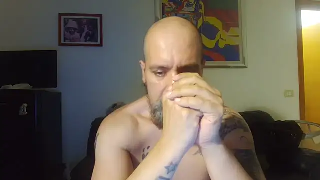 AMIRDIB2025 – webcam-show
