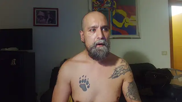 Webkamerová show AMIRDIB2025