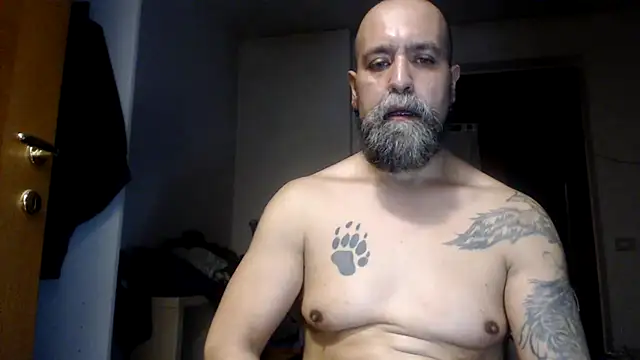 AMIRDIB2025 Pertunjukan Webcam