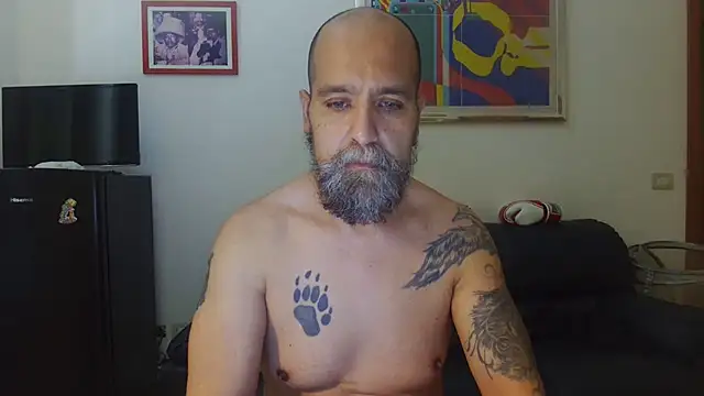 הופעת וובקאם של AMIRDIB2025
