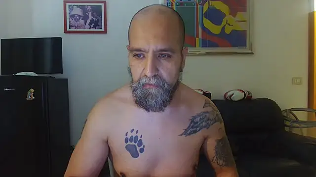 AMIRDIB2025 Show in webcam